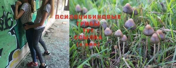 герыч Алзамай